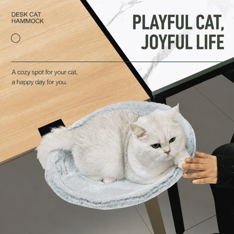 Cat desk hammock can replace cat tree, adjustable small cat table bed cat bed pet supplies wholesale