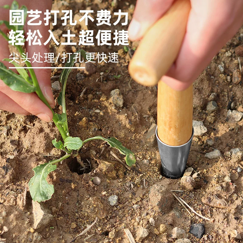 Sowing, hole drilling, transplanting, topdressing, stainless steel horticultural vegetable planting, seedling raising, flower sowing, seed sowing tools, seedlings