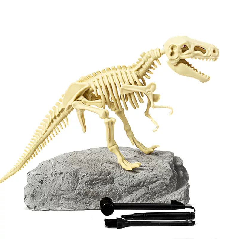 Das dinosaurier-knochen-double sind nur spielzeug, das mit einer sammlung kauft und dann im großmarkt ausgräbt