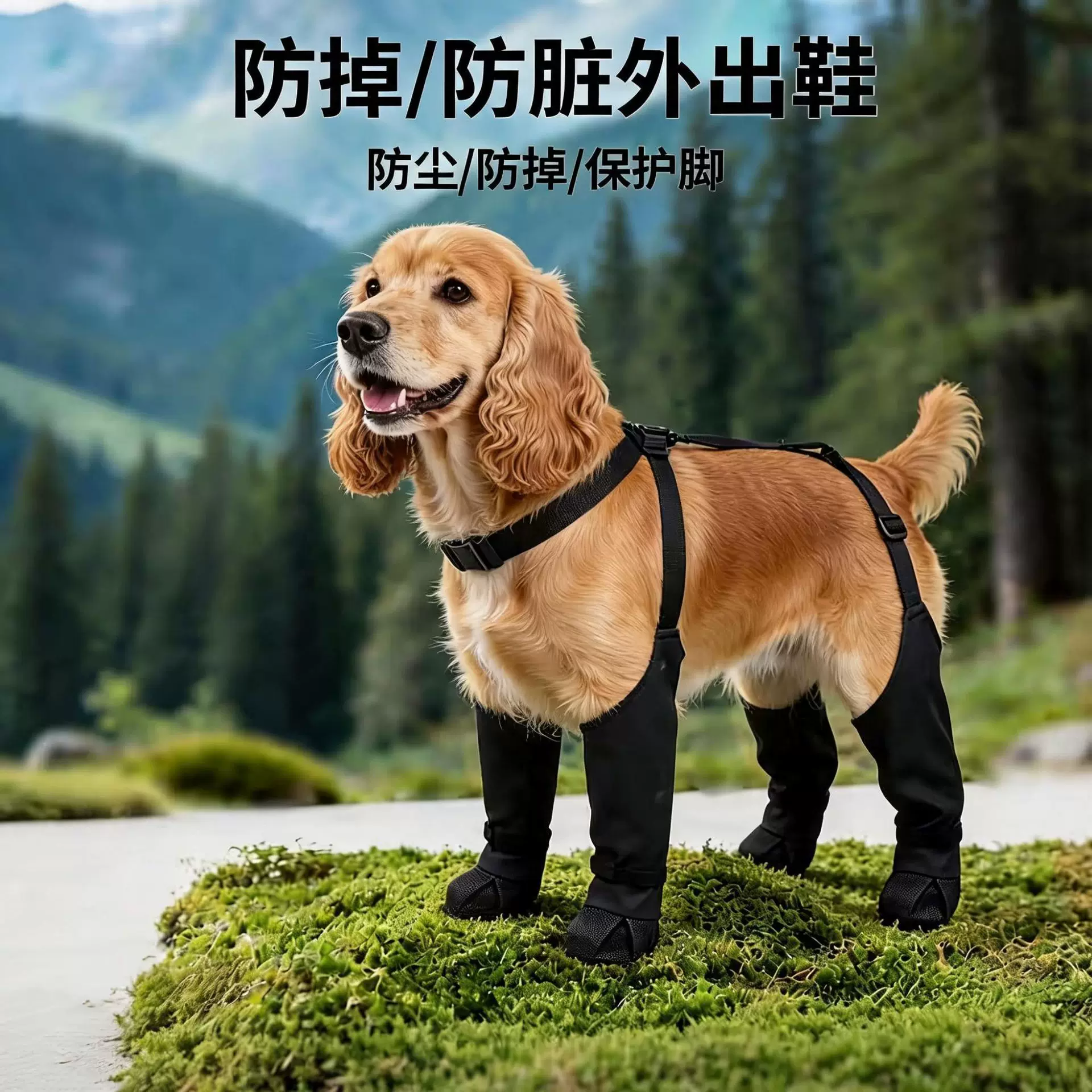Grenzübergänge für hundeschuhe sind rudiantil und tauchen abends nicht mit weichen fußschuhen auf