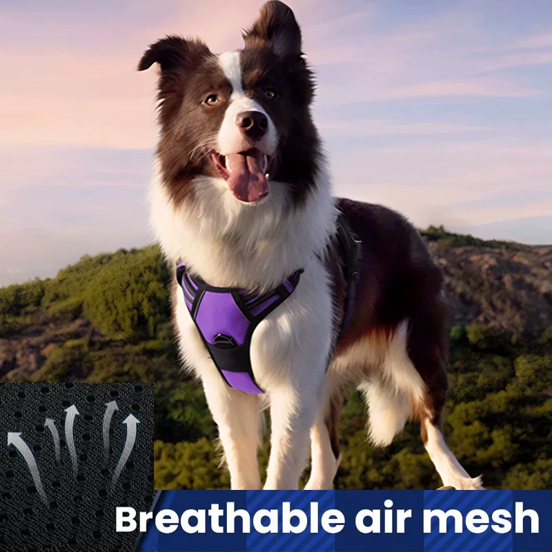 Dog leash, pet harness, nylon dog rope, large dog harness, pet supplies, factory wholesale