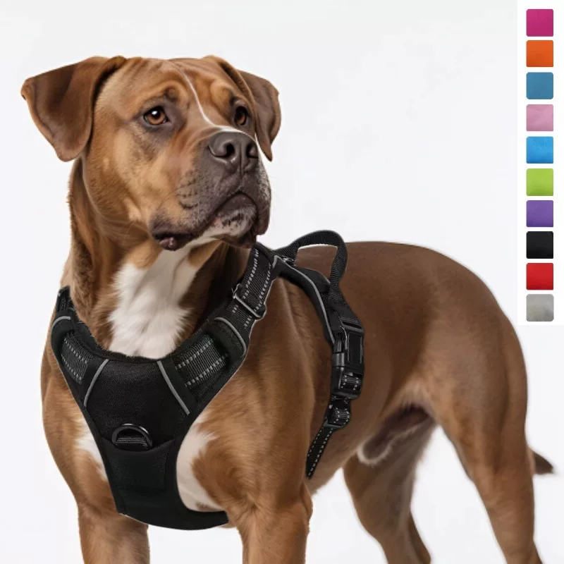 Dog leash, pet harness, nylon dog rope, large dog harness, pet supplies, factory wholesale